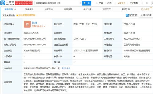 北京智行戰(zhàn)略布局湖南，投資新公司搶占信息系統(tǒng)集成服務(wù)市場